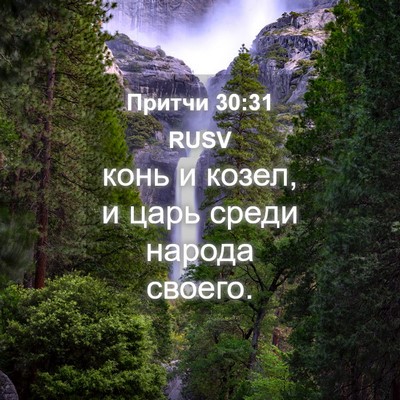 Picture 04 - Притчи 30:31 RUSV - конь и козел, и царь среди - Bible Verse Picture