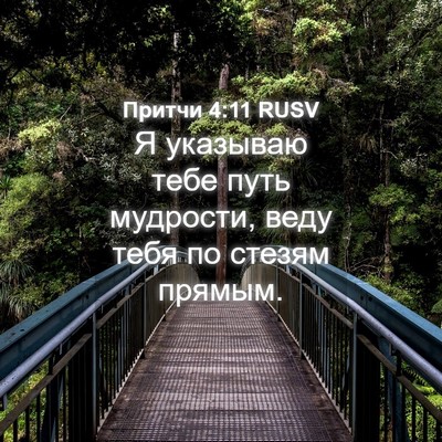 Picture 04 - Притчи 4:11 RUSV - Я указываю тебе путь - Bible Verse Picture