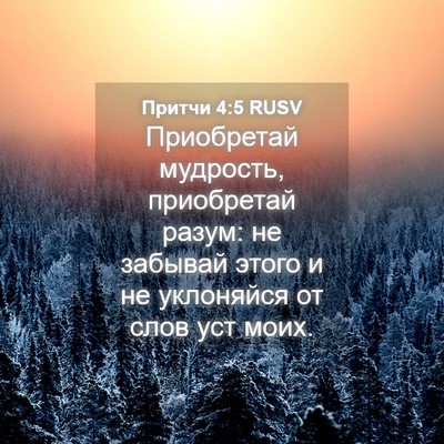 Picture 04 - Притчи 4:5 RUSV - Приобретай мудрость, - Bible Verse Picture