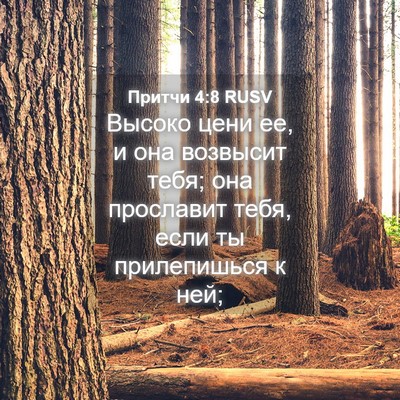 Picture 04 - Притчи 4:8 RUSV - Высоко цени ее, и она - Bible Verse Picture