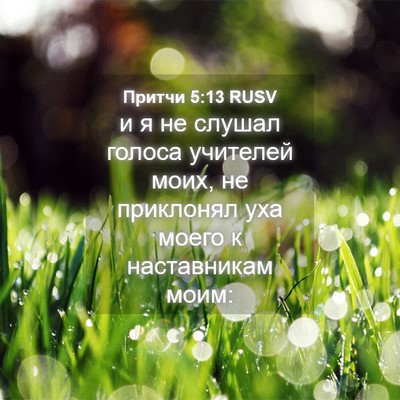 Picture 04 - Притчи 5:13 RUSV - и я не слушал голоса - Bible Verse Picture