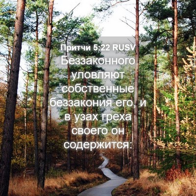 Picture 04 - Притчи 5:22 RUSV - Беззаконного уловляют - Bible Verse Picture