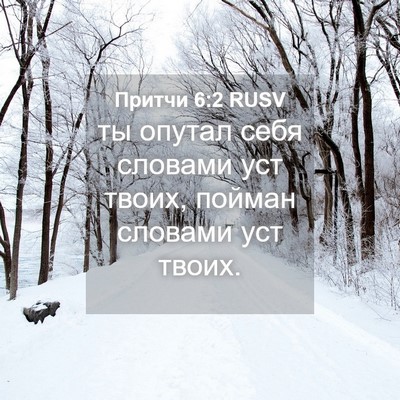 Picture 04 - Притчи 6:2 RUSV - ты опутал себя словами уст - Bible Verse Picture