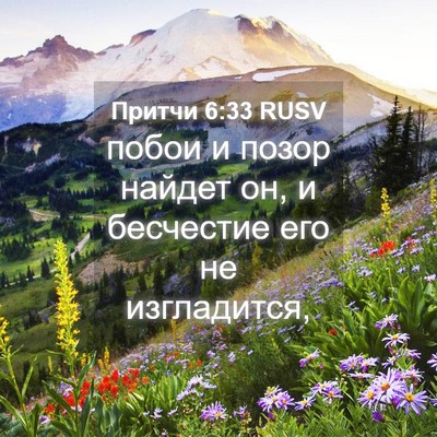 Picture 04 - Притчи 6:33 RUSV - побои и позор найдет он, и - Bible Verse Picture