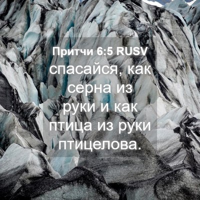 Picture 04 - Притчи 6:5 RUSV - спасайся, как серна из руки - Bible Verse Picture