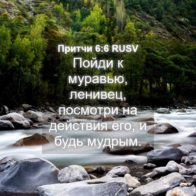 Picture 04 - Притчи 6:6 RUSV - Пойди к муравью, ленивец, - Bible Verse Picture
