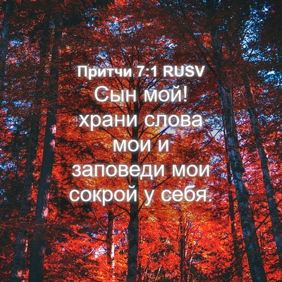 Picture 04 - Притчи 7:1 RUSV - Сын мой! храни слова мои и - Bible Verse Picture