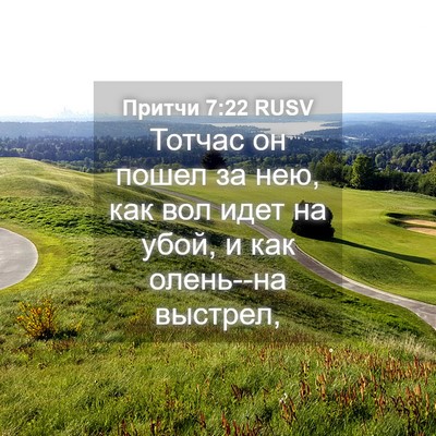 Picture 04 - Притчи 7:22 RUSV - Тотчас он пошел за нею, как - Bible Verse Picture