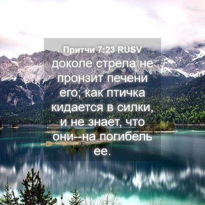 Picture 04 - Притчи 7:23 RUSV - доколе стрела не пронзит - Bible Verse Picture