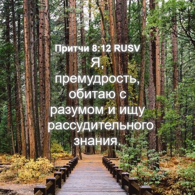 Picture 04 - Притчи 8:12 RUSV - Я, премудрость, обитаю с - Bible Verse Picture