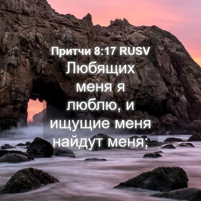 Picture 04 - Притчи 8:17 RUSV - Любящих меня я люблю, и - Bible Verse Picture