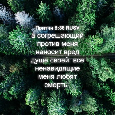 Picture 04 - Притчи 8:36 RUSV - а согрешающий против меня - Bible Verse Picture