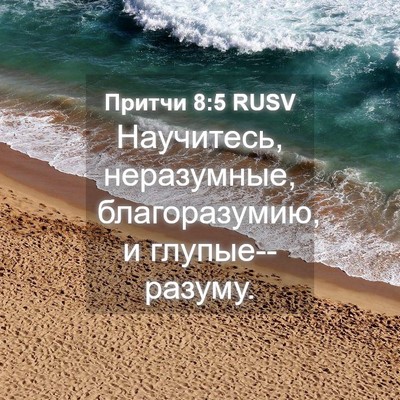 Picture 04 - Притчи 8:5 RUSV - Научитесь, неразумные, - Bible Verse Picture