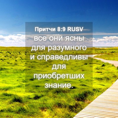 Picture 04 - Притчи 8:9 RUSV - все они ясны для разумного - Bible Verse Picture
