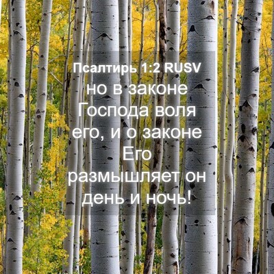 Picture 04 - Псалтирь 1:2 RUSV - но в законе Господа воля - Bible Verse Picture