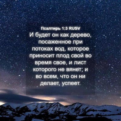 Picture 04 - Псалтирь 1:3 RUSV - И будет он как дерево, - Bible Verse Picture