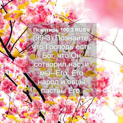 Picture 04 - Псалтирь 100:3 RUSV - (99-3) Познайте, что Господь - Bible Verse Picture