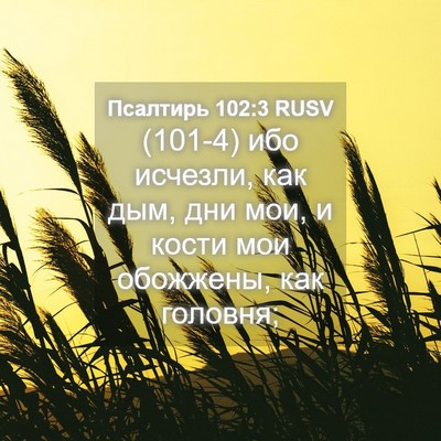 Picture 04 - Псалтирь 102:3 RUSV - (101-4) ибо исчезли, как дым, - Bible Verse Picture