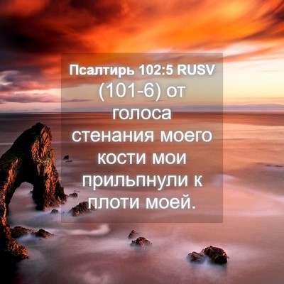 Picture 04 - Псалтирь 102:5 RUSV - (101-6) от голоса стенания - Bible Verse Picture