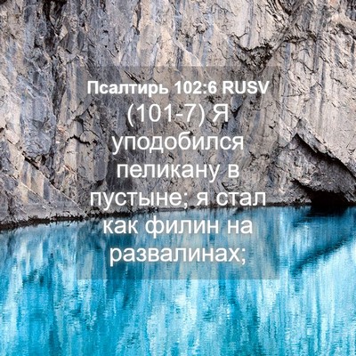 Picture 04 - Псалтирь 102:6 RUSV - (101-7) Я уподобился пеликану - Bible Verse Picture
