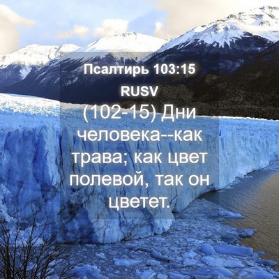 Picture 04 - Псалтирь 103:15 RUSV - (102-15) Дни человека--как - Bible Verse Picture