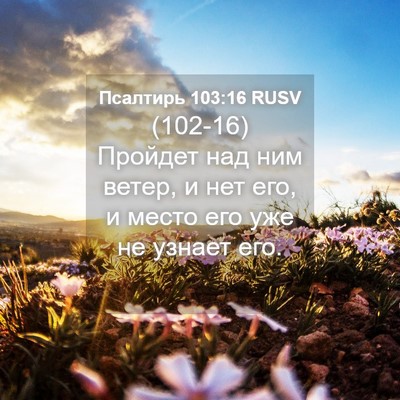 Picture 04 - Псалтирь 103:16 RUSV - (102-16) Пройдет над ним ветер, - Bible Verse Picture