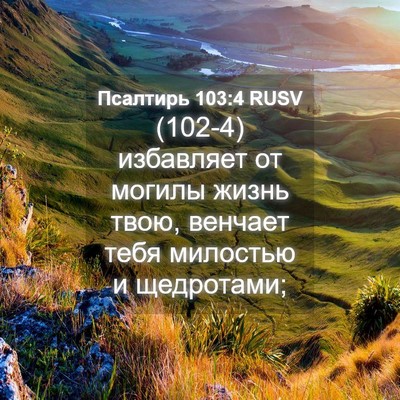 Picture 04 - Псалтирь 103:4 RUSV - (102-4) избавляет от могилы - Bible Verse Picture