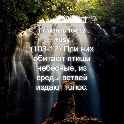Picture 04 - Псалтирь 104:12 RUSV - (103-12) При них обитают птицы - Bible Verse Picture
