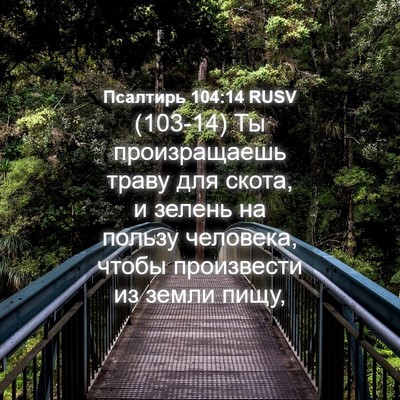 Picture 04 - Псалтирь 104:14 RUSV - (103-14) Ты произращаешь траву - Bible Verse Picture