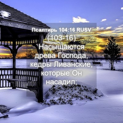 Picture 04 - Псалтирь 104:16 RUSV - (103-16) Насыщаются древа - Bible Verse Picture