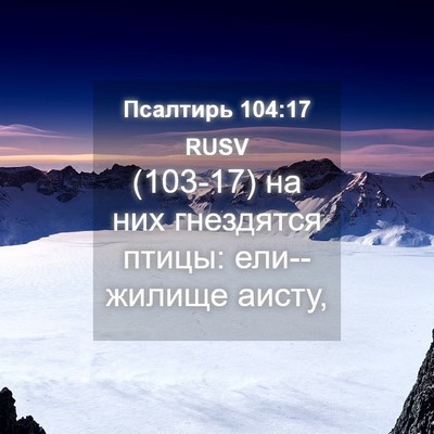 Picture 04 - Псалтирь 104:17 RUSV - (103-17) на них гнездятся - Bible Verse Picture