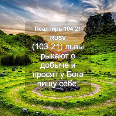 Picture 04 - Псалтирь 104:21 RUSV - (103-21) львы рыкают о добыче и - Bible Verse Picture