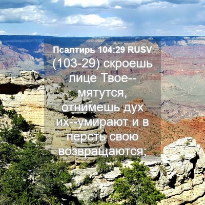 Picture 04 - Псалтирь 104:29 RUSV - (103-29) скроешь лице - Bible Verse Picture