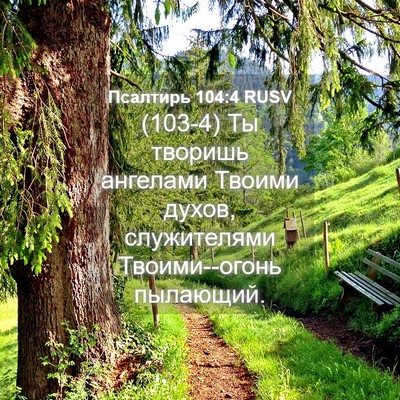 Picture 04 - Псалтирь 104:4 RUSV - (103-4) Ты творишь ангелами - Bible Verse Picture