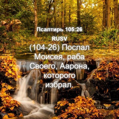 Picture 04 - Псалтирь 105:26 RUSV - (104-26) Послал Моисея, раба - Bible Verse Picture