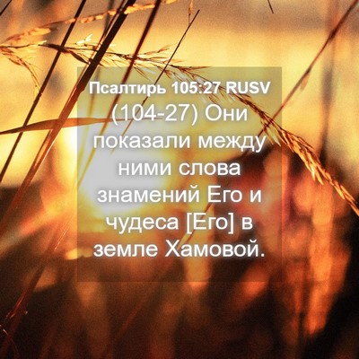 Picture 04 - Псалтирь 105:27 RUSV - (104-27) Они показали между - Bible Verse Picture