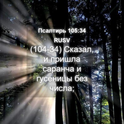 Picture 04 - Псалтирь 105:34 RUSV - (104-34) Сказал, и пришла - Bible Verse Picture