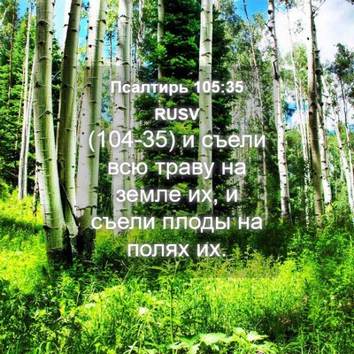 Picture 04 - Псалтирь 105:35 RUSV - (104-35) и съели всю траву на - Bible Verse Picture
