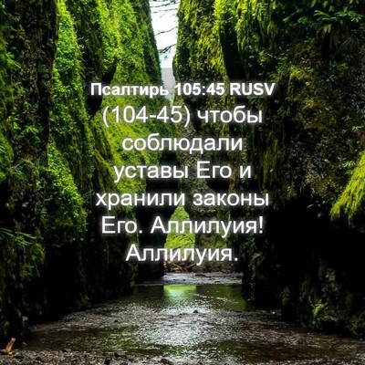 Picture 04 - Псалтирь 105:45 RUSV - (104-45) чтобы соблюдали - Bible Verse Picture