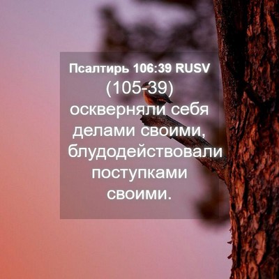 Picture 04 - Псалтирь 106:39 RUSV - (105-39) оскверняли себя - Bible Verse Picture