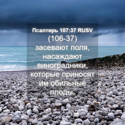 Picture 04 - Псалтирь 107:37 RUSV - (106-37) засевают поля, - Bible Verse Picture