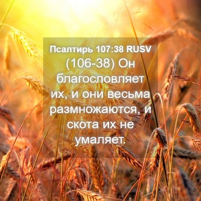 Picture 04 - Псалтирь 107:38 RUSV - (106-38) Он благословляет их, и - Bible Verse Picture