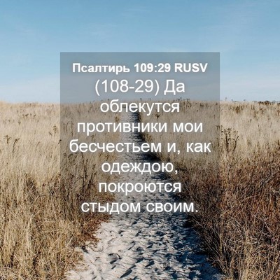 Picture 04 - Псалтирь 109:29 RUSV - (108-29) Да облекутся - Bible Verse Picture