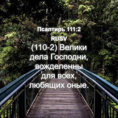 Picture 04 - Псалтирь 111:2 RUSV - (110-2) Велики дела Господни, - Bible Verse Picture