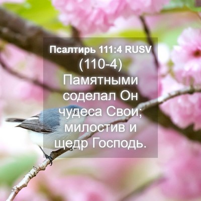 Picture 04 - Псалтирь 111:4 RUSV - (110-4) Памятными соделал Он - Bible Verse Picture