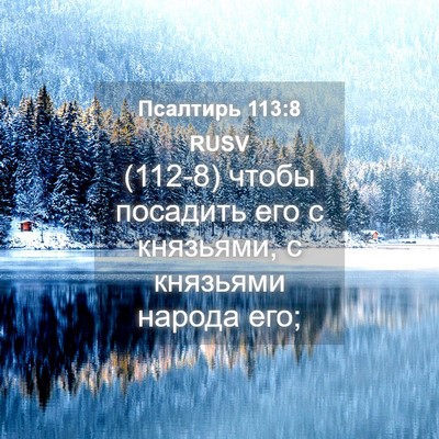 Picture 04 - Псалтирь 113:8 RUSV - (112-8) чтобы посадить его с - Bible Verse Picture