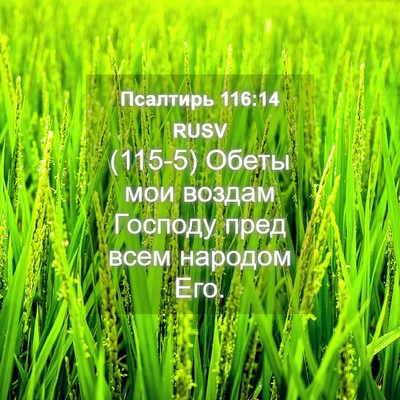 Picture 04 - Псалтирь 116:14 RUSV - (115-5) Обеты мои воздам - Bible Verse Picture