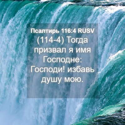 Picture 04 - Псалтирь 116:4 RUSV - (114-4) Тогда призвал я имя - Bible Verse Picture