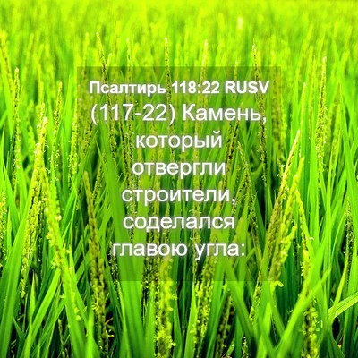 Picture 04 - Псалтирь 118:22 RUSV - (117-22) Камень, который - Bible Verse Picture
