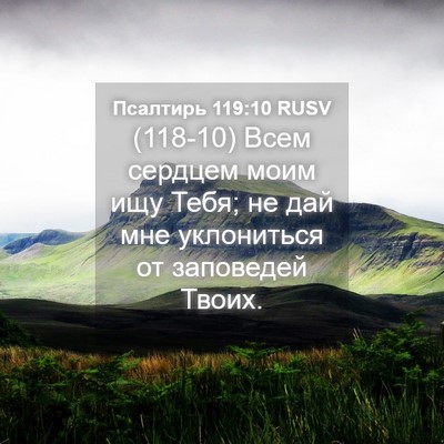 Picture 04 - Псалтирь 119:10 RUSV - (118-10) Всем сердцем моим ищу - Bible Verse Picture